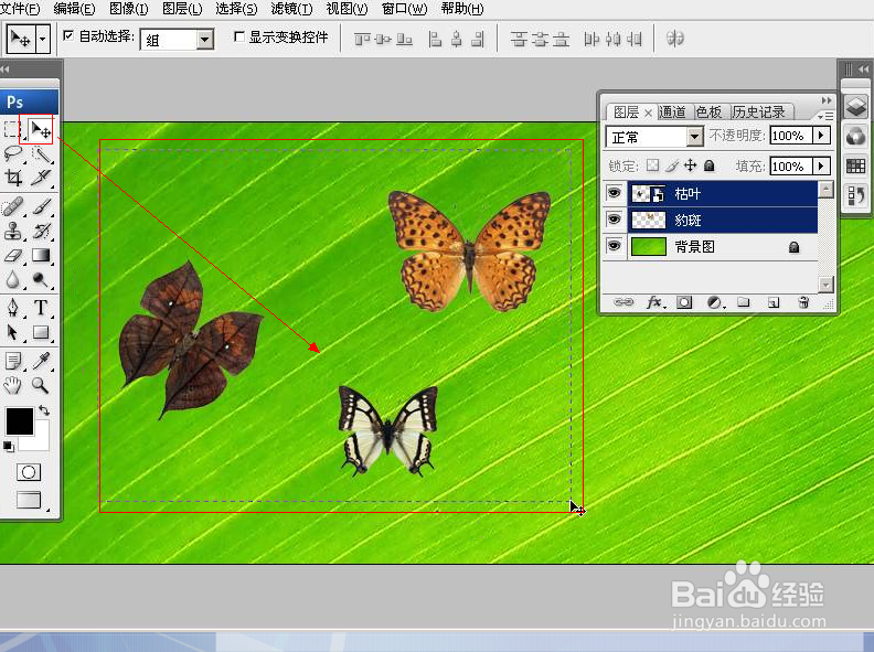 PhotoShop无损放大或缩小图片