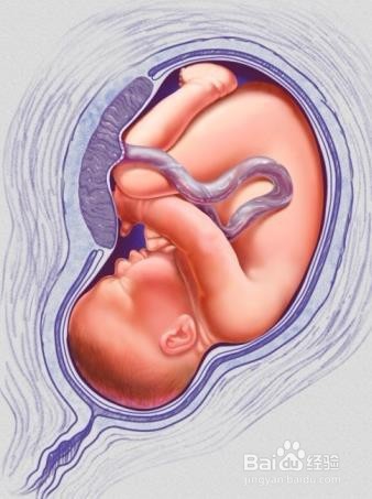 自然分娩是有哪些因素决定的？