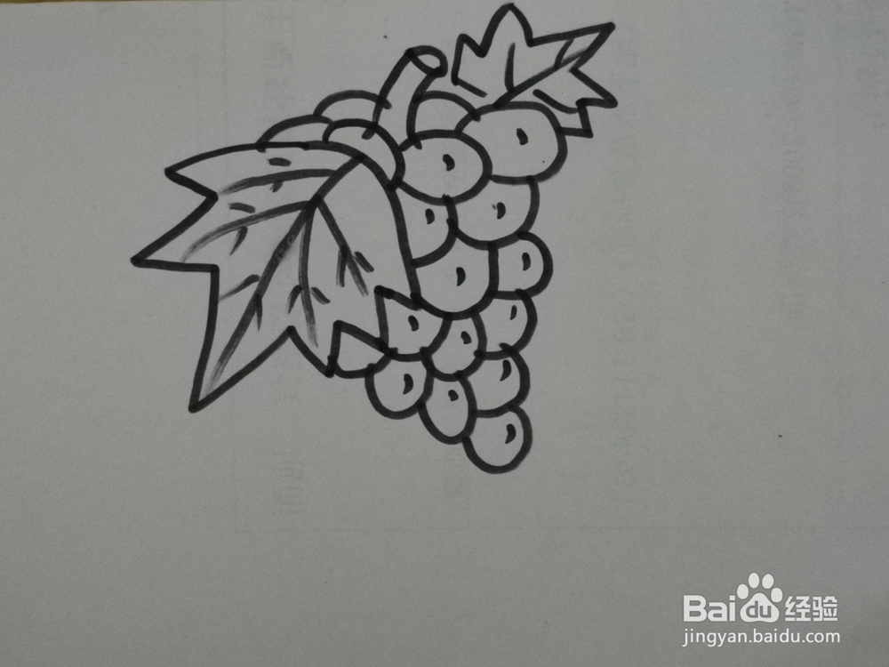 简笔画怎么画葡萄