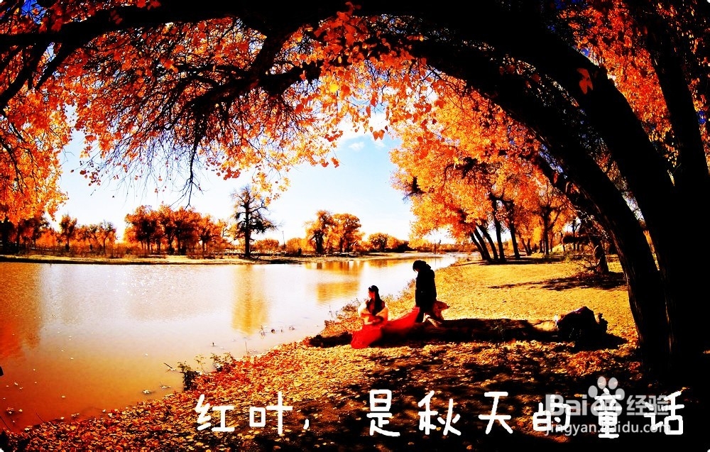 秋天适合去这些地方约会