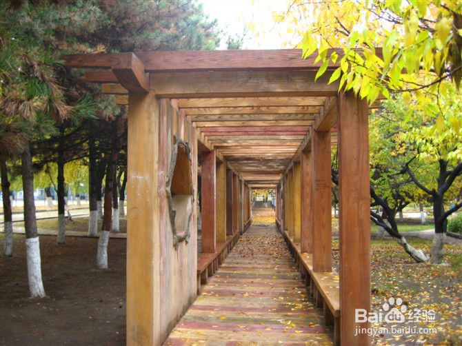 2021年长春理工大学成人高考报名条件