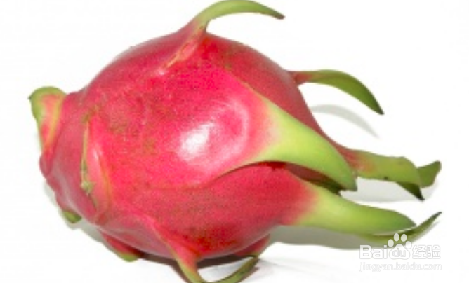 火龙果为什么这么“火”