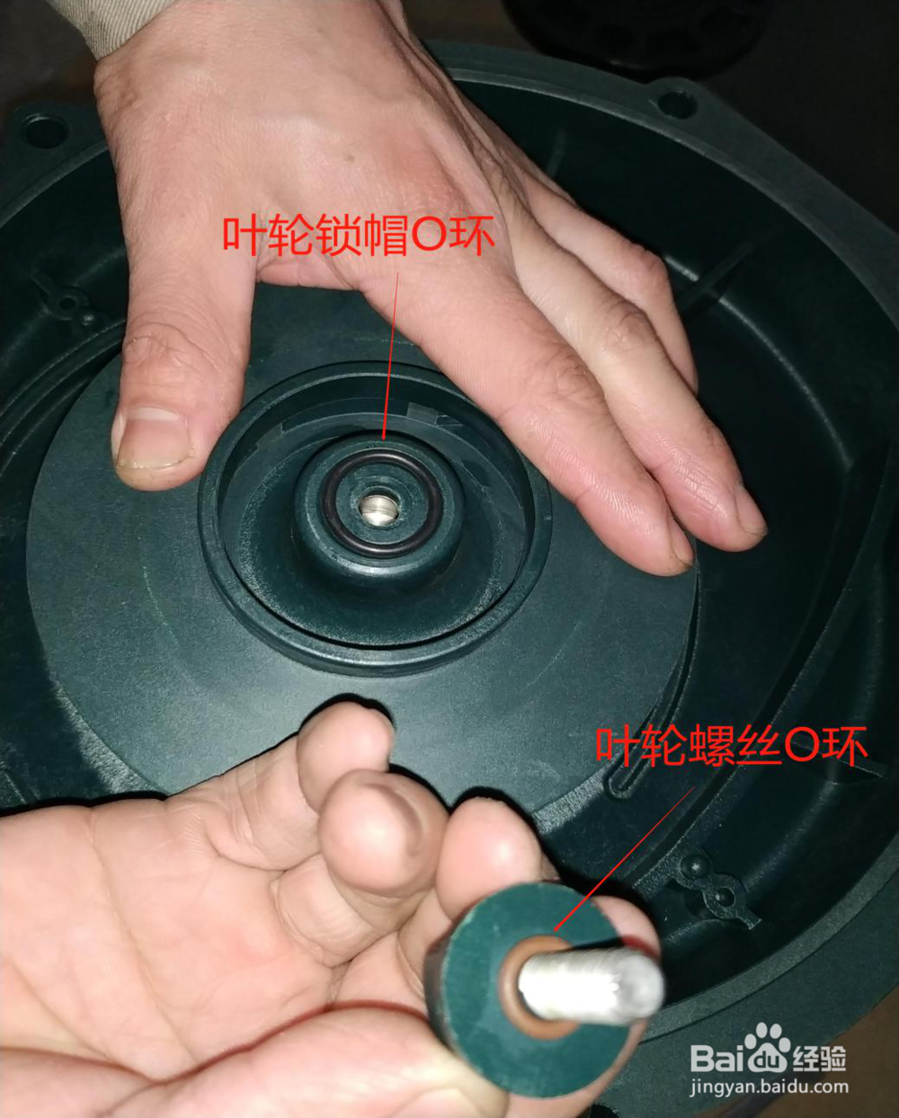 耐腐蚀自吸泵、污水提升泵美宝环保组装图文详解