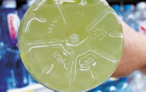 塑料制品的数字健康密码