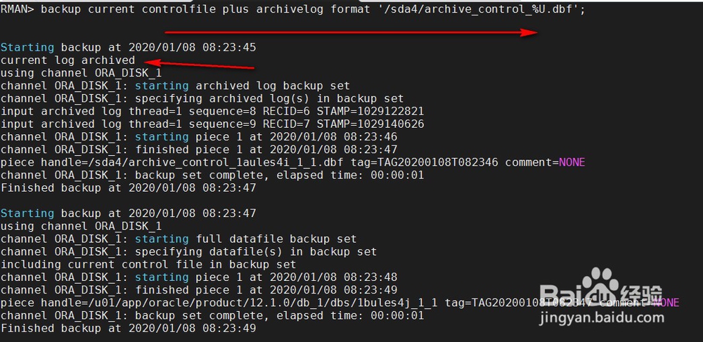 RMAN备份PLUS与INCLUDE和NOPROMPT还有input用法