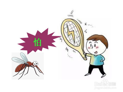 黑蚊子怎么灭