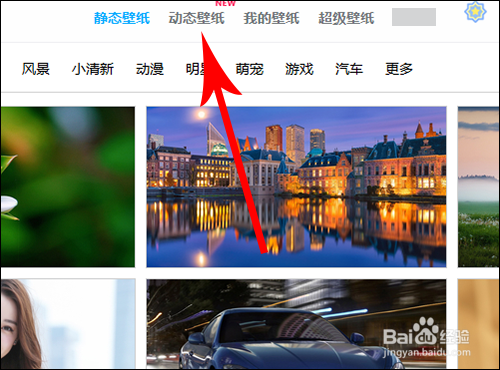 小鸟壁纸怎么设置动态壁纸
