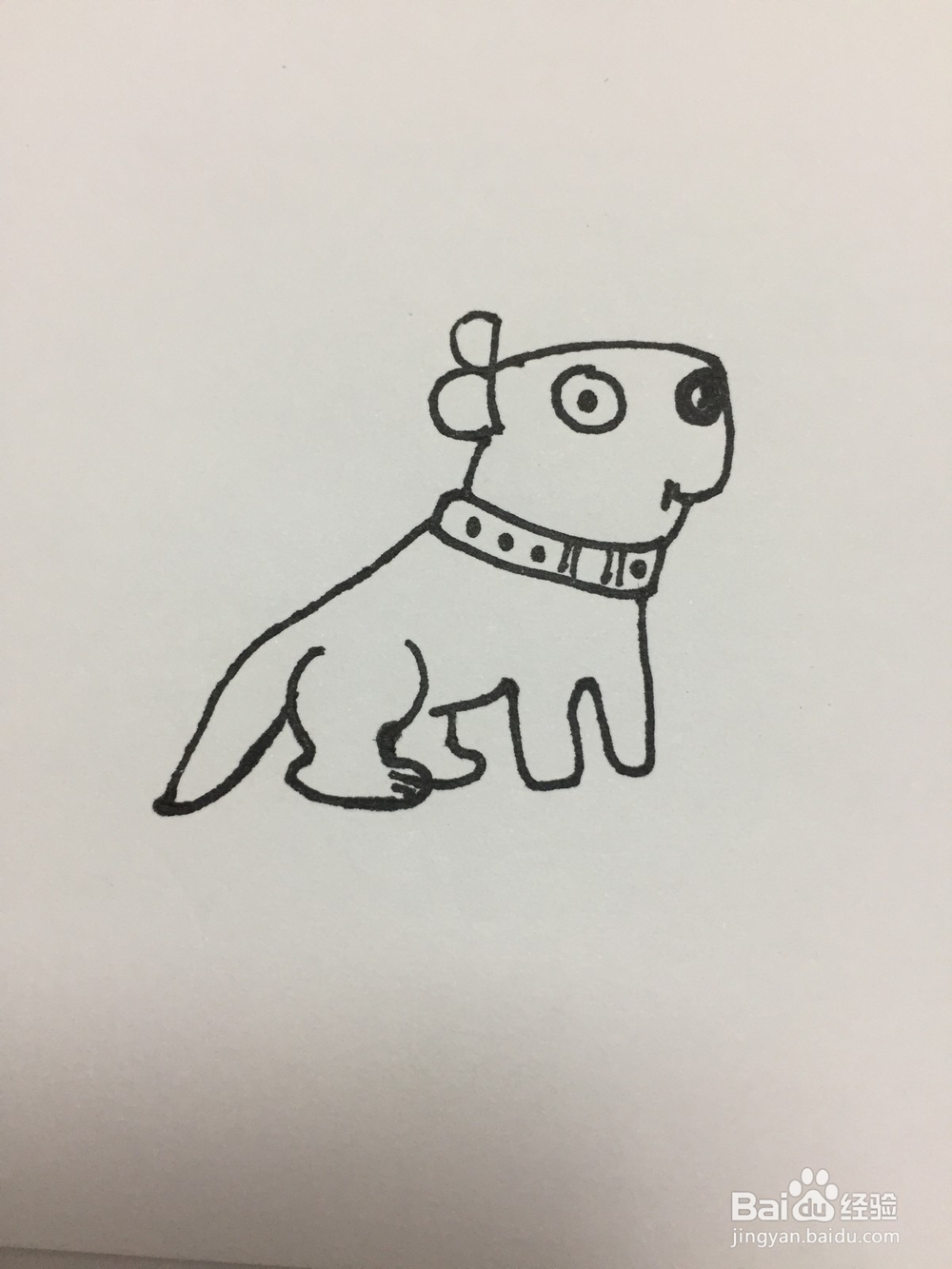 用英文dog画狗狗