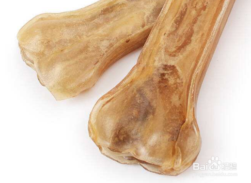 狗狗老乱咬家里东西怎么纠正