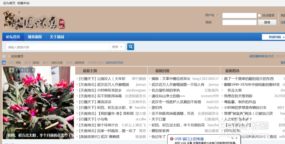 哪里可以看到老电影？