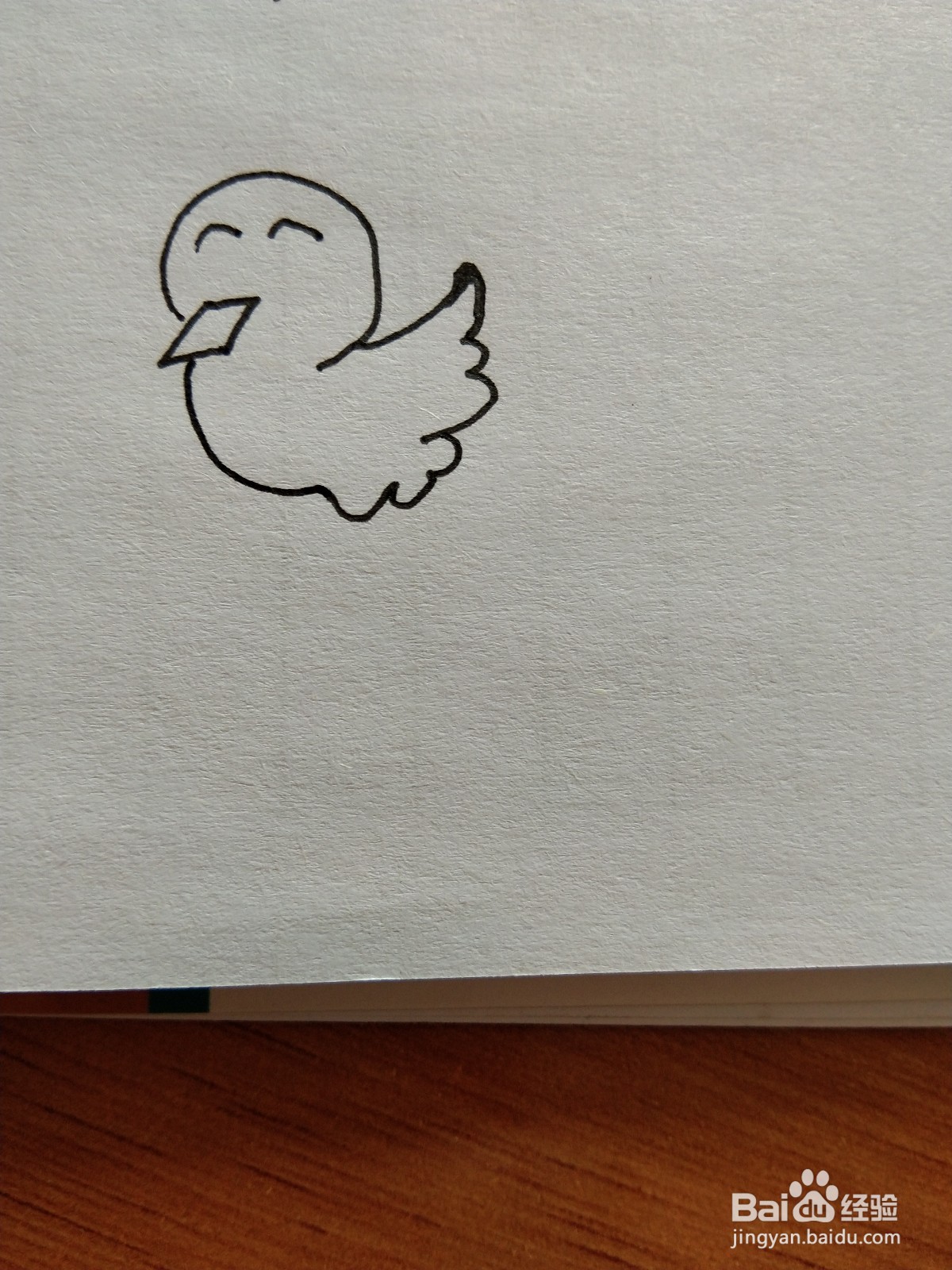 小鸟的简笔画