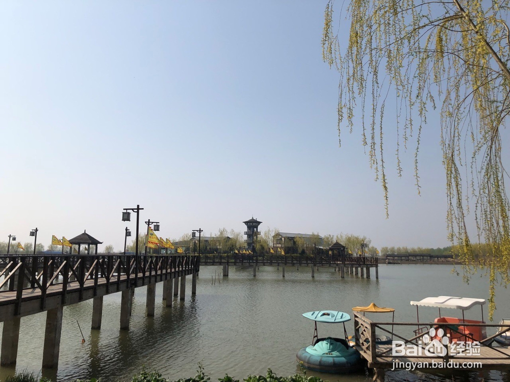 江苏高邮湖芦苇荡一日游旅游攻略