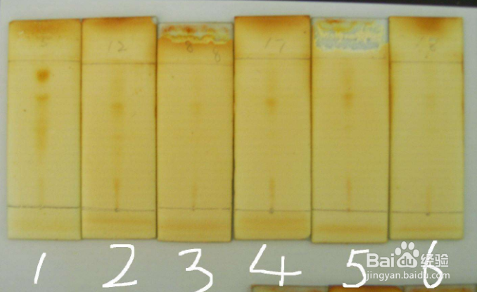 TLC薄层层析技术怎么选择硅胶层析的展开溶剂
