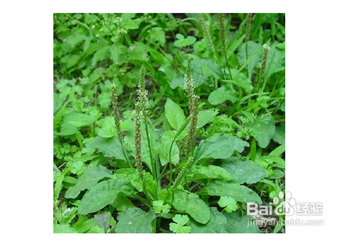 中医怎样治疗前列腺痛