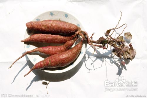 红薯的搭配禁忌