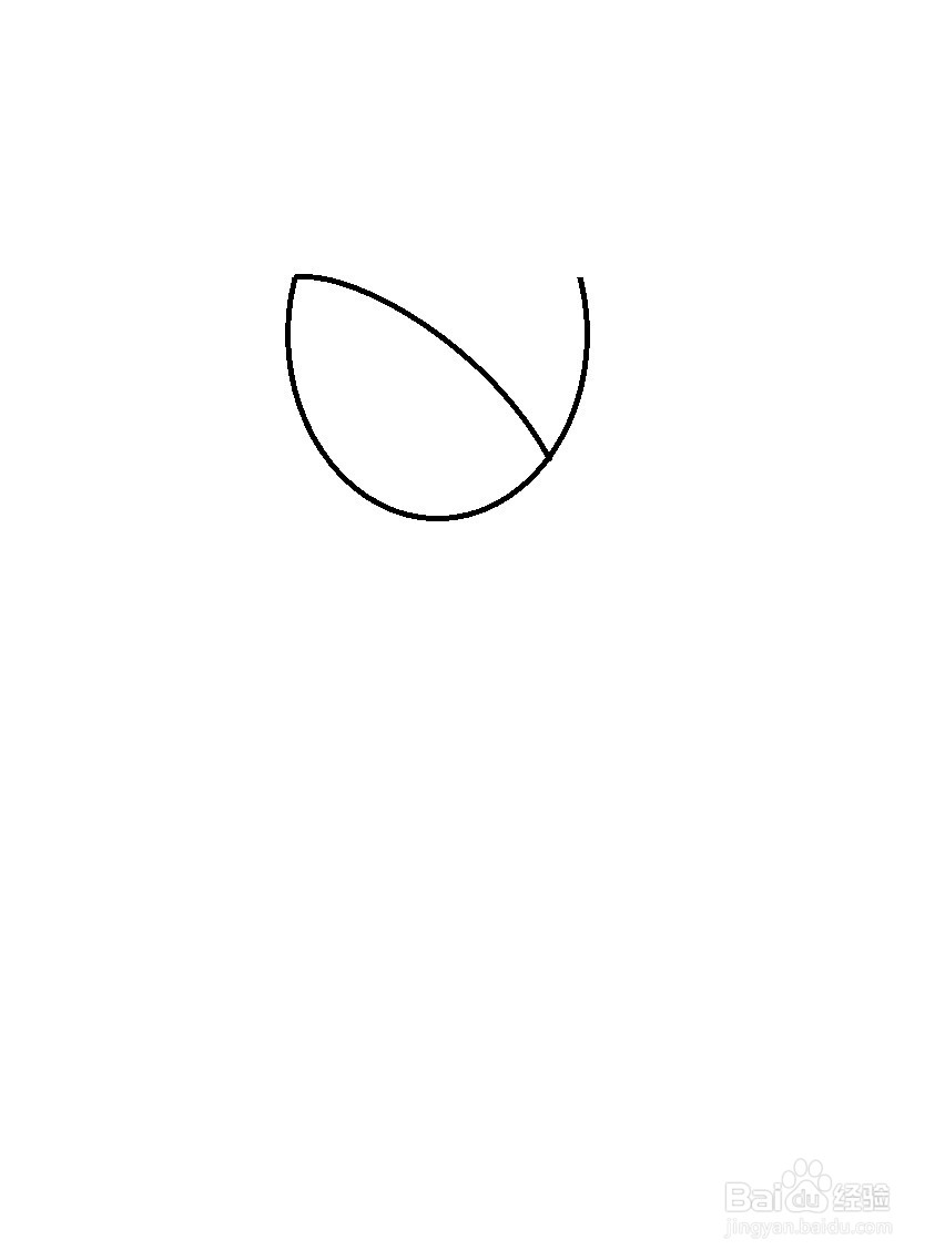 画郁金香的简单方法