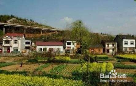 宅基地别人强占怎么办