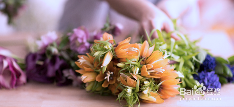 Photoshop之冷色和暖色图像