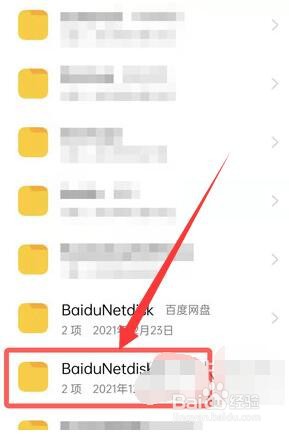 百度网盘青春版下载的图片在哪里