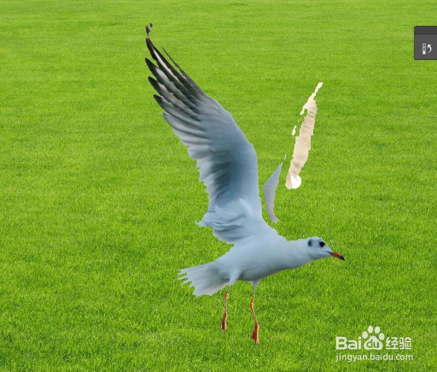 photoshop如何抠图