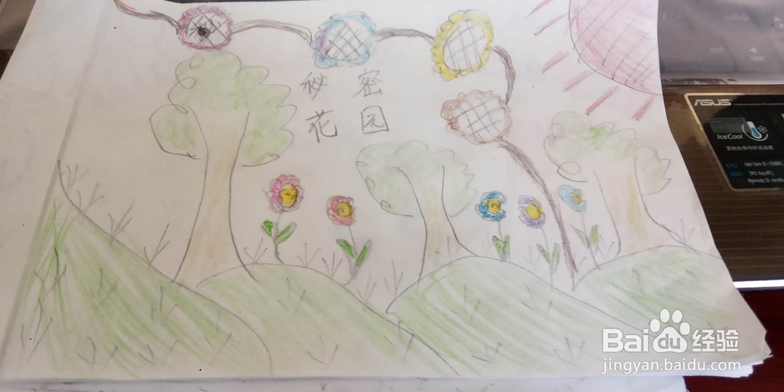 秘密花园手抄报