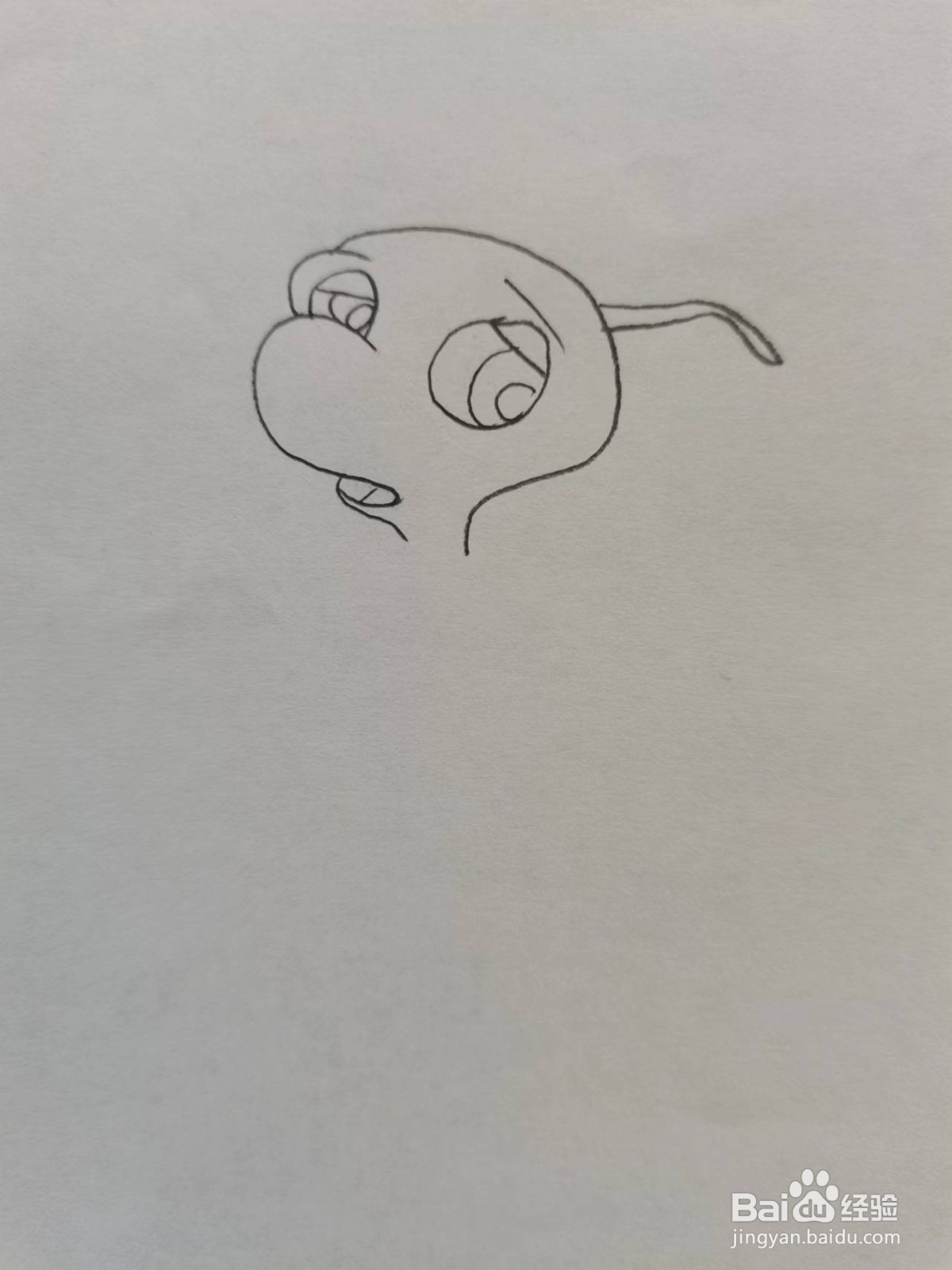 小鲤鱼历险记里面的小乌龟