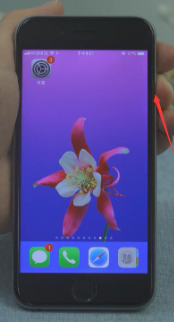 苹果手机wifi密码正确但连接不上