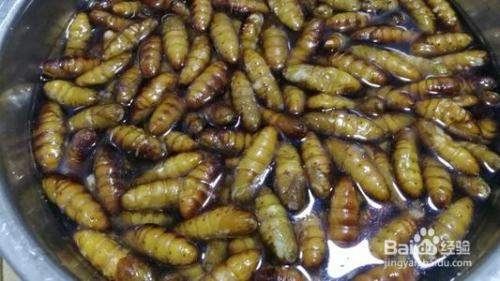 蚕蛹怎么炸不爆 百度经验