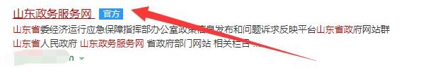 山东政务网怎么申请营业执照