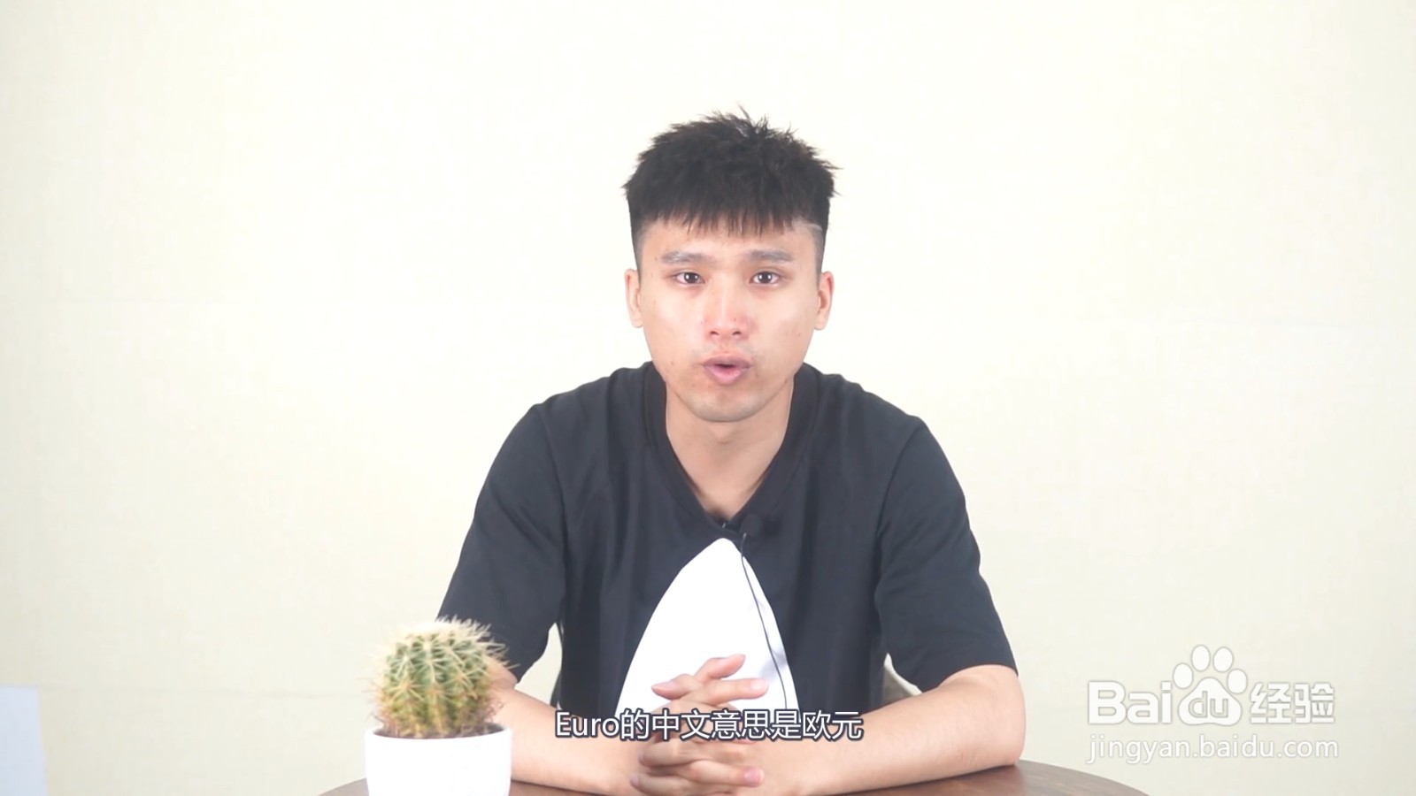 euro是什么国家的钱币