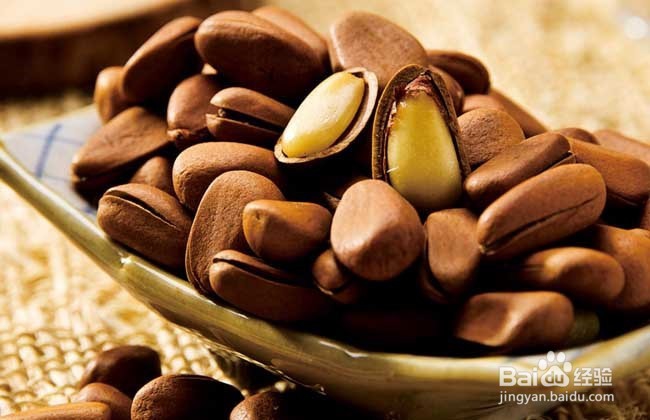 松子的营养和选购技巧