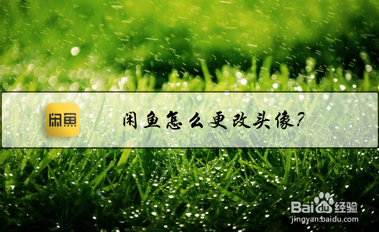 闲鱼怎么更改头像