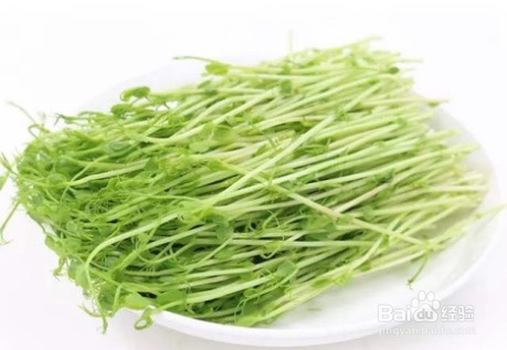 清热解毒减肥沙拉:青豆薏米樱桃萝卜豆苗沙拉