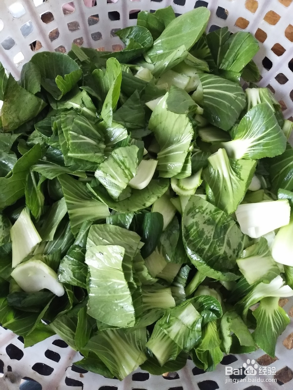 家常菜--青菜烧牛肉