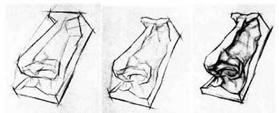 素描石膏像五官训练——鼻子的画法