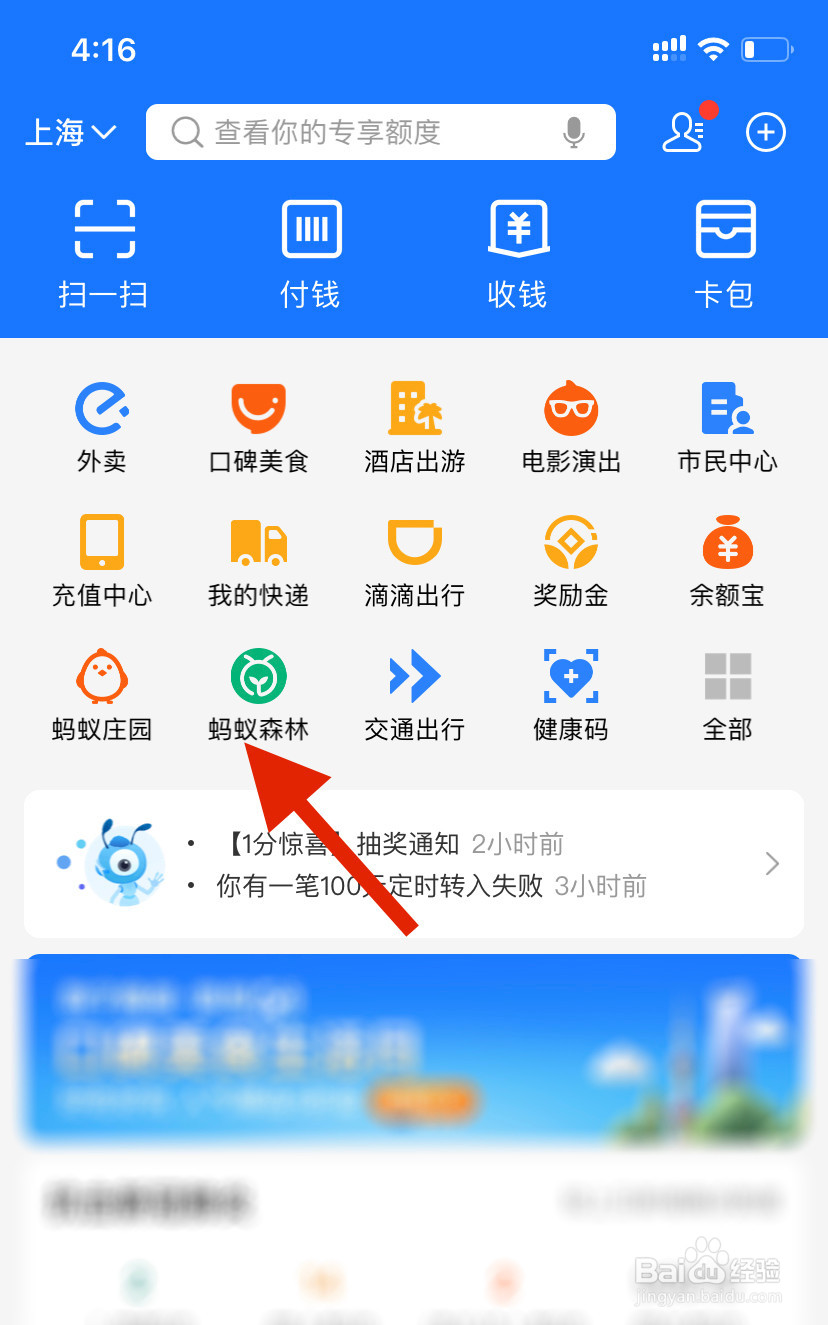 支付宝蚂蚁森林怎么送妈妈花？