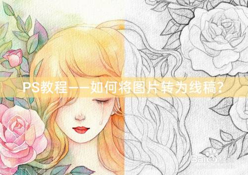 ps教程——如何将图片转为线稿?
