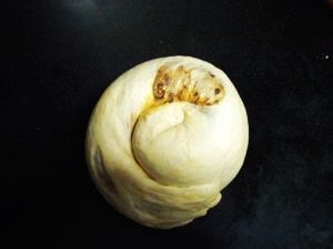 可可花生酱面包