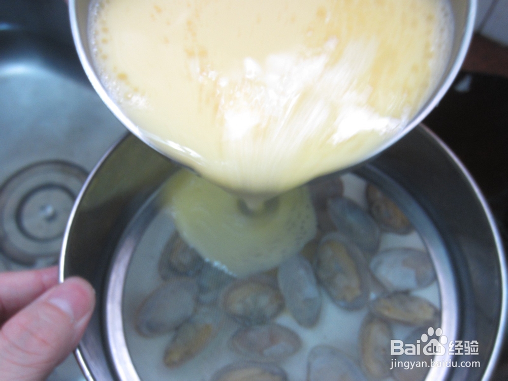 蒸蛋怎么好吃—文蛤蒸蛋
