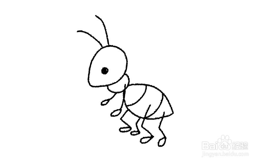 蚂蚁图画简笔图片