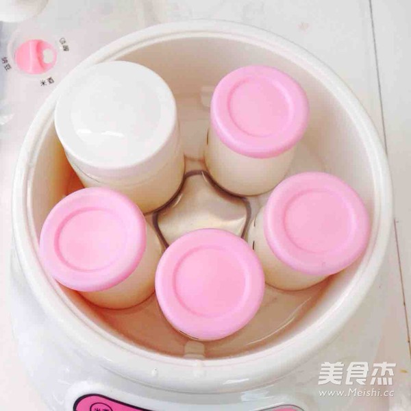 制酸奶的家常做法
