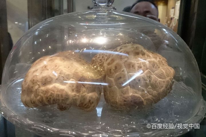 哺乳期能吃花菇吗