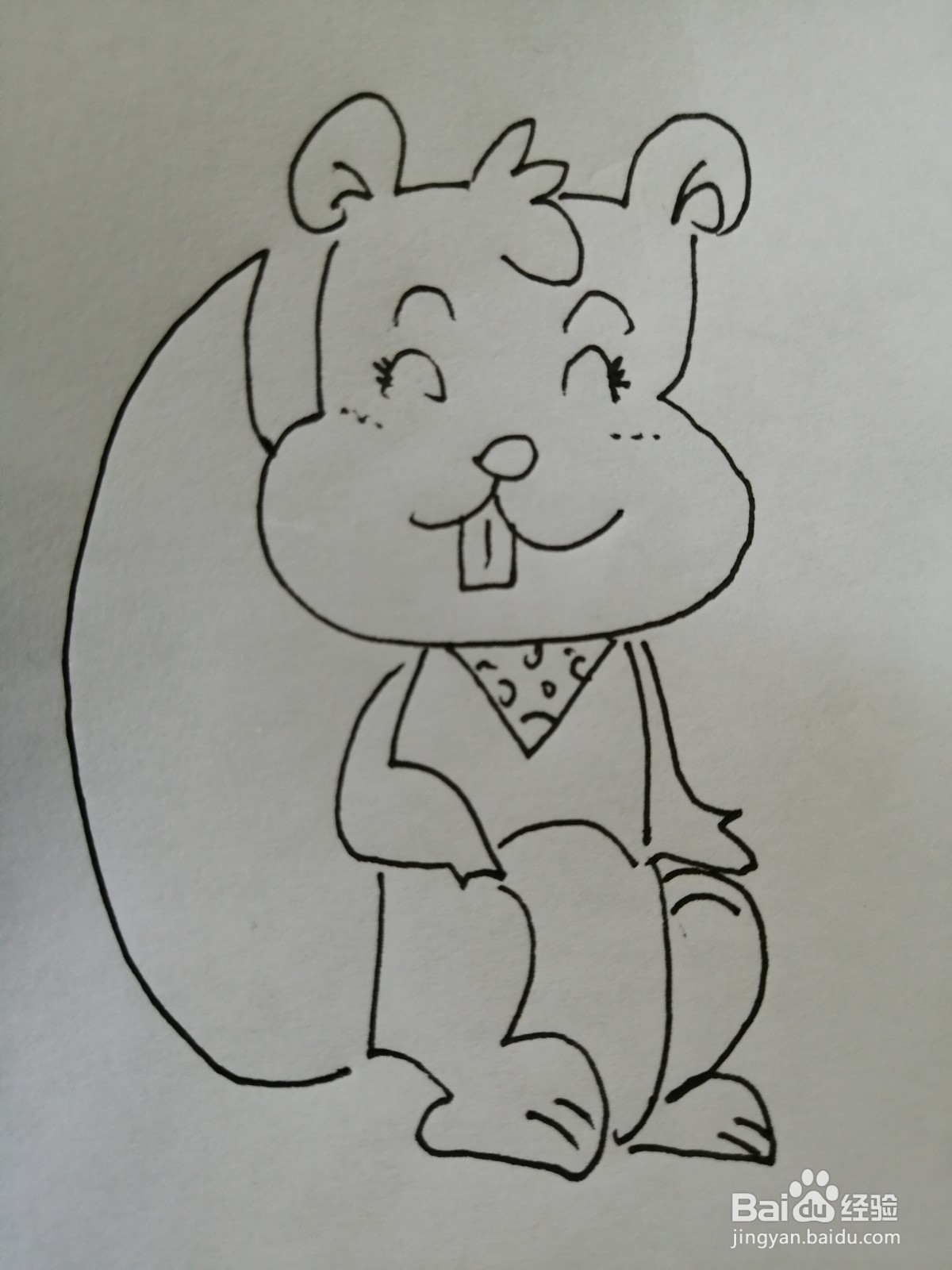 <b>可爱的小松鼠怎么画</b>