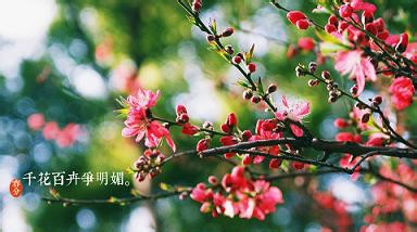 春分----抓住调整运气的好时机