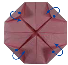 如何折一朵睡莲