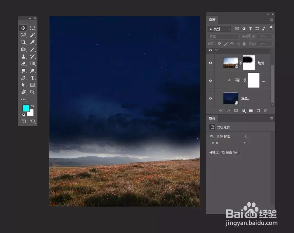 Photoshop一树一世界