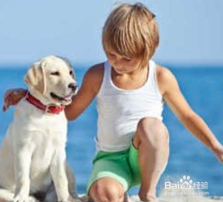 怎么判断人对狗过敏