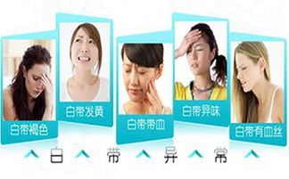 尖锐湿尤长什么样