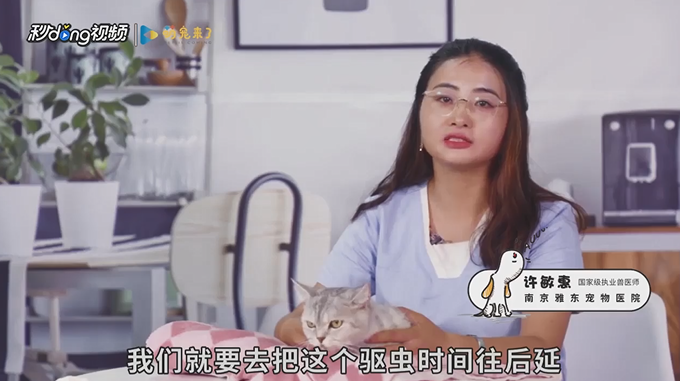 猫咪怎么驱虫？