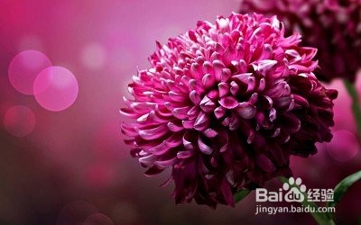 英语书写中应注意的书写中“移行”规则